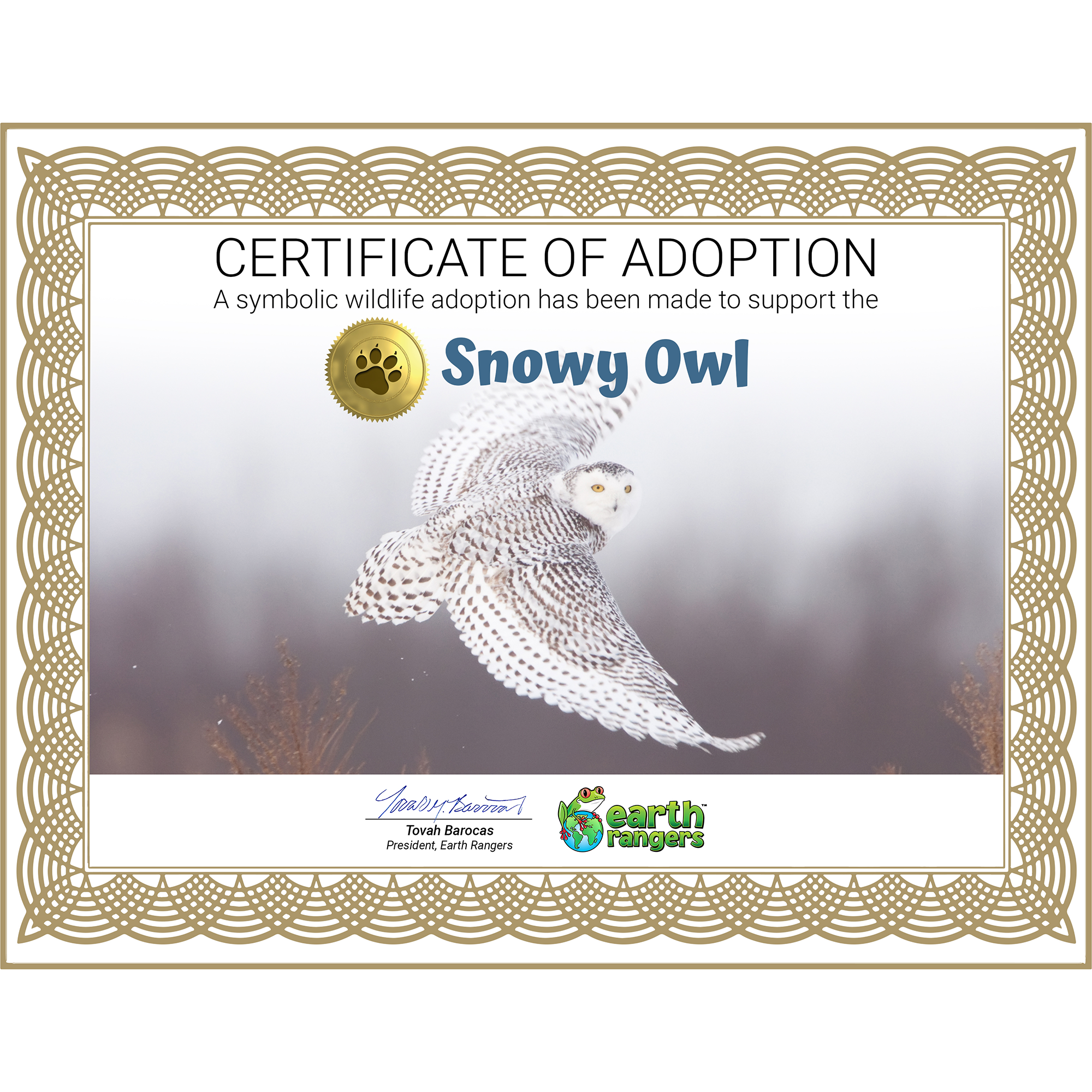 Snowy Owl Adoption Kit 