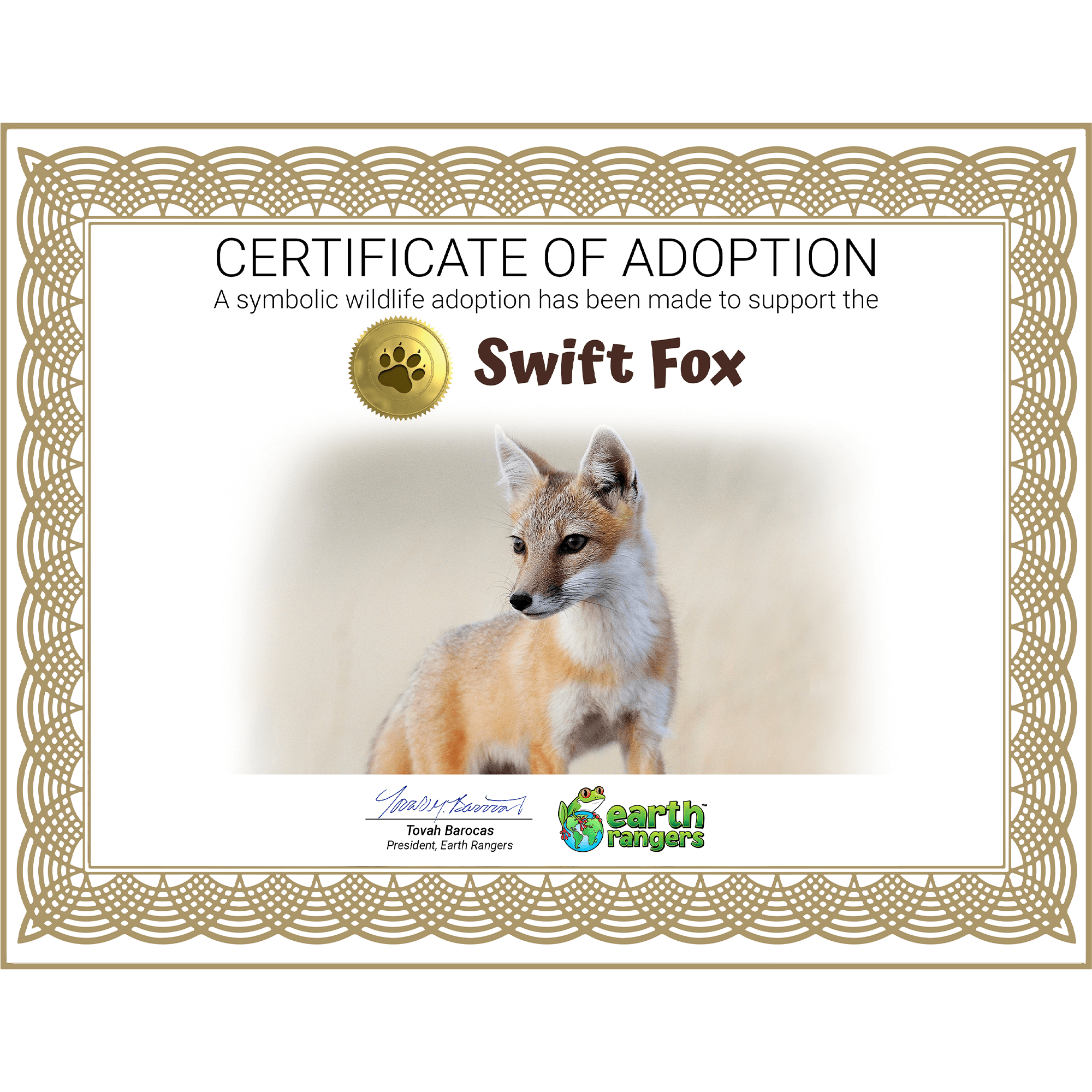 Swift Fox Adoption Kit 