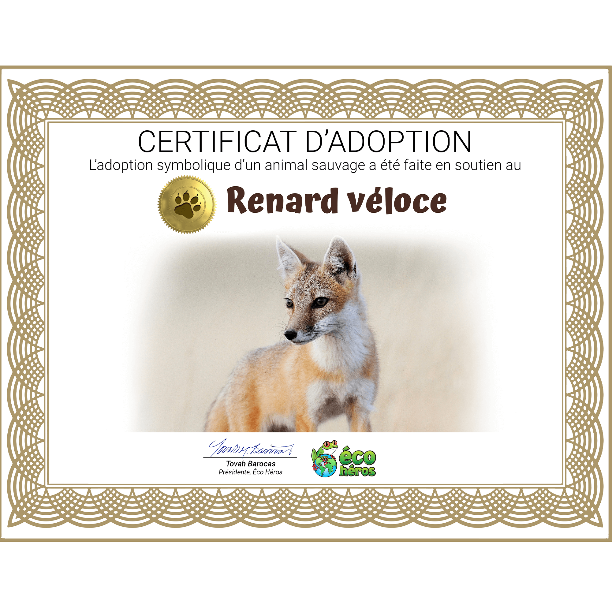 Ensemble d'adoption du renard véloce