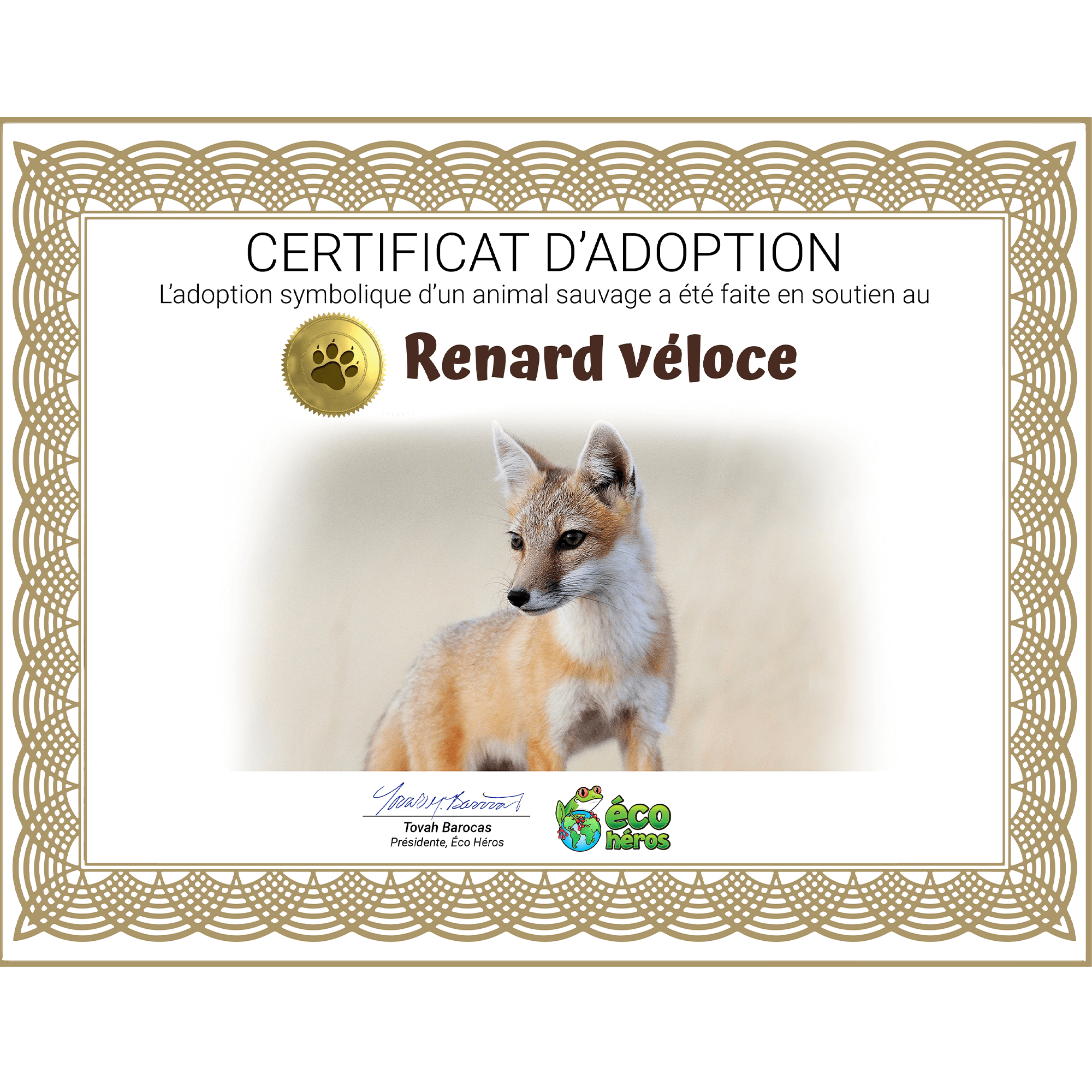 Ensemble d’adoption du renard véloce - Peluche