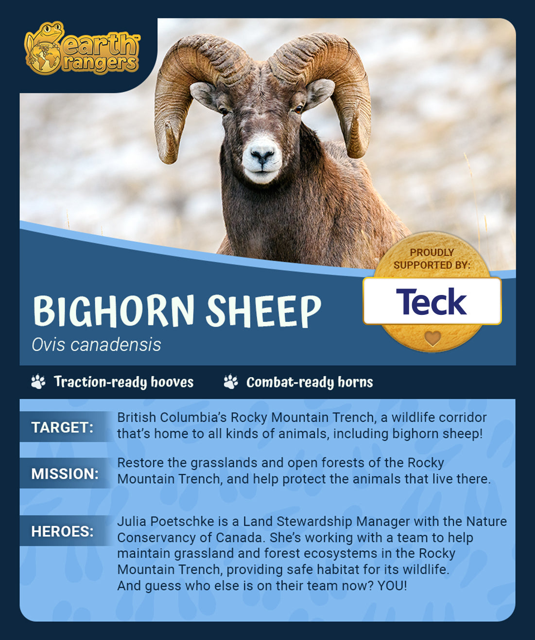 Bighorn Sheep Adoption Kit