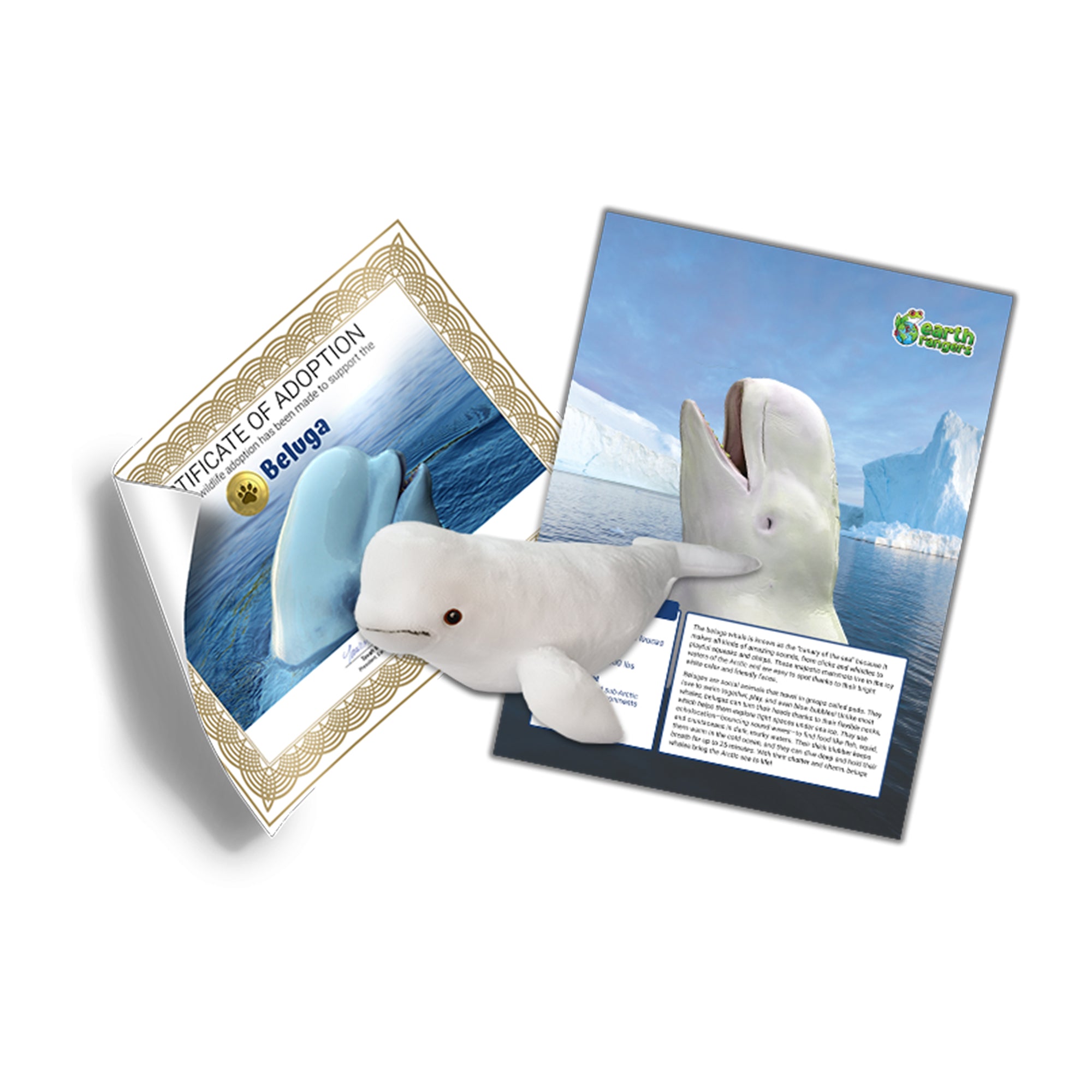 Beluga Adoption Kit - Plush Bundle