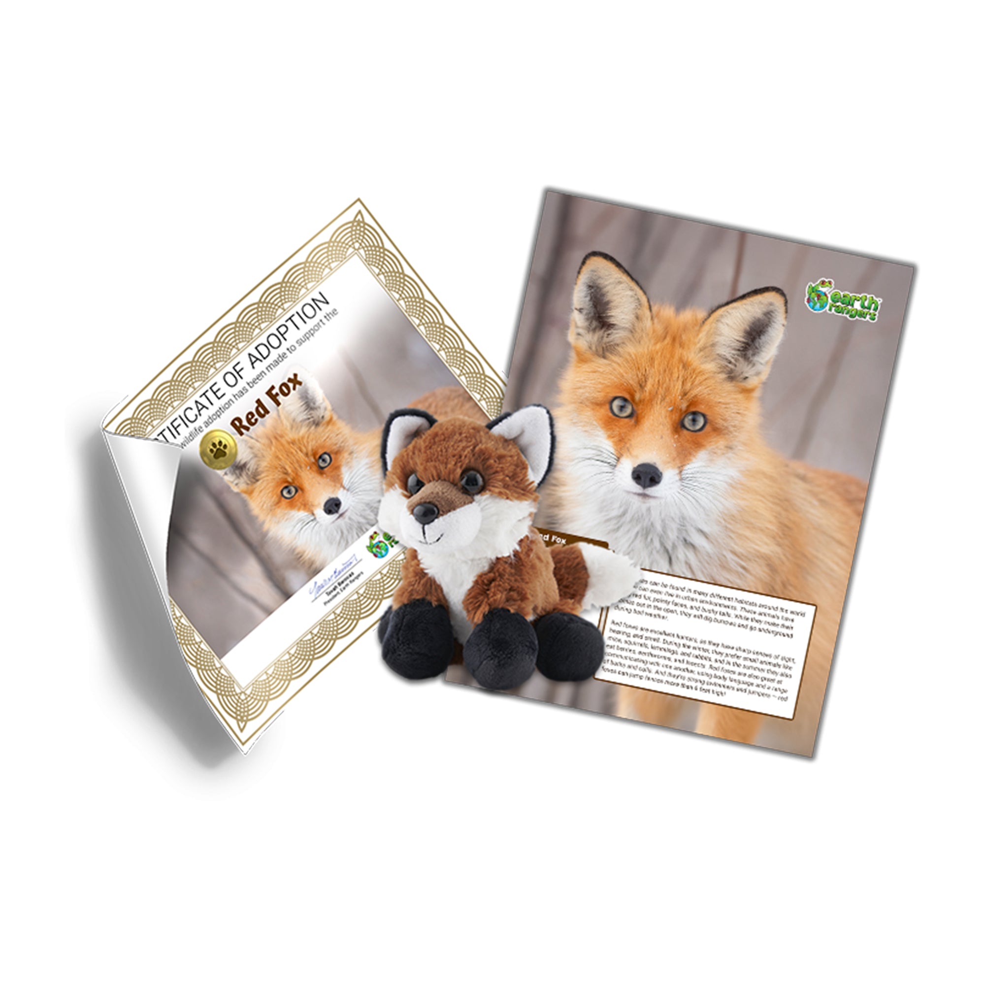 Red Fox Adoption Kit - Plush Bundle