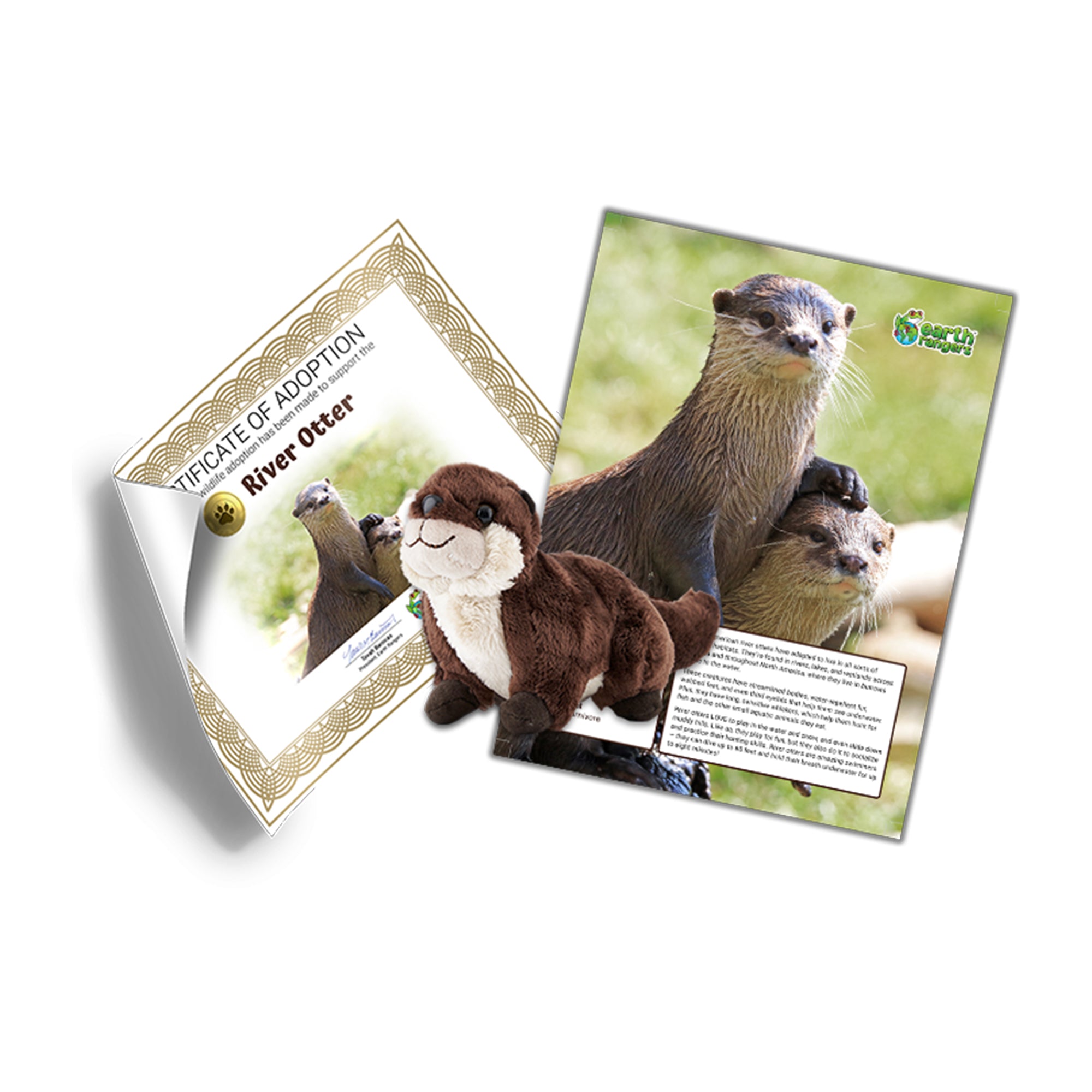 River Otter Adoption Kit - Plush Bundle