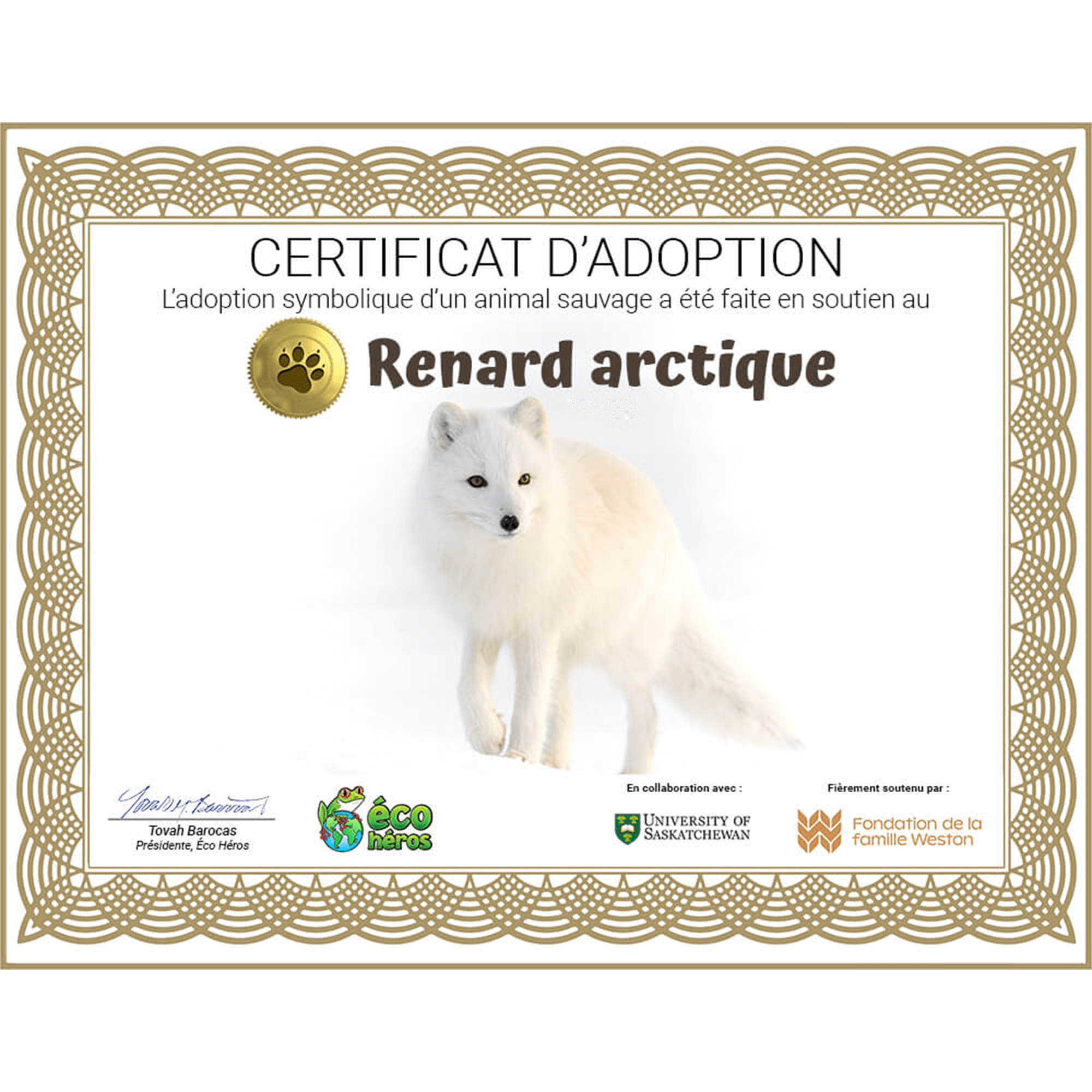 Ensemble d’adoption du renard arctique