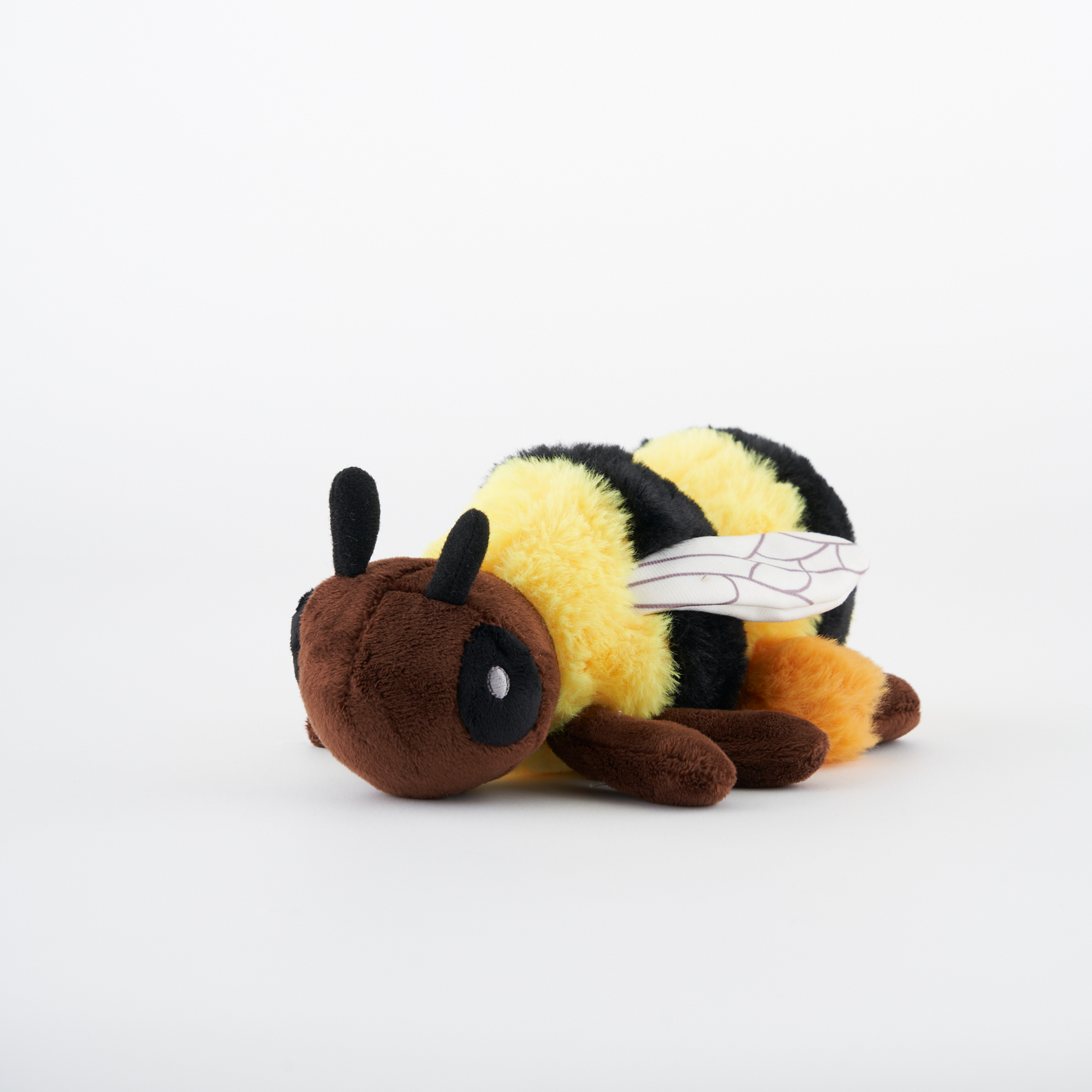 Western Bumblebee Adoption Kit