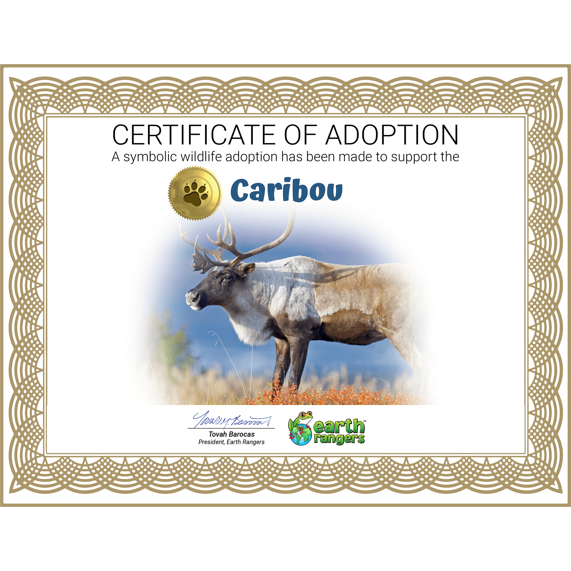 Caribou Adoption Kit