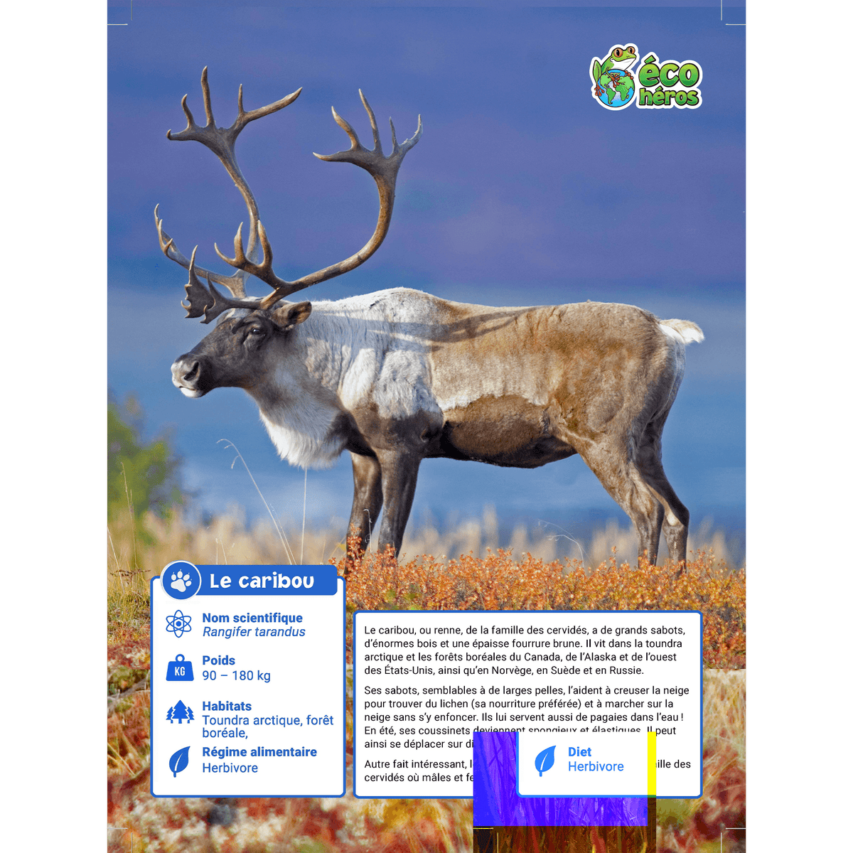 Collecta Des Bois Col88709 Toy Caribou Xl | Desertcart