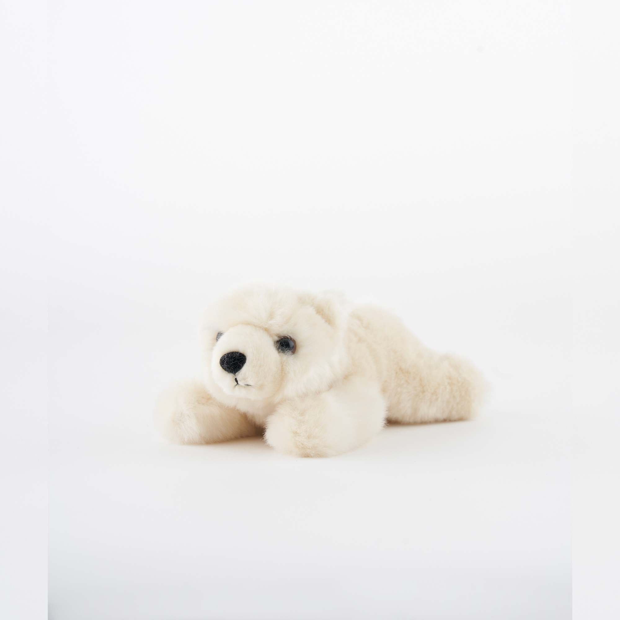 Polar Bear Adoption Kit