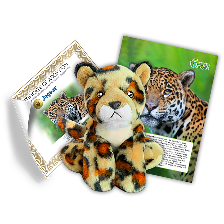 Ensemble d’adoption de jaguar – Peluche