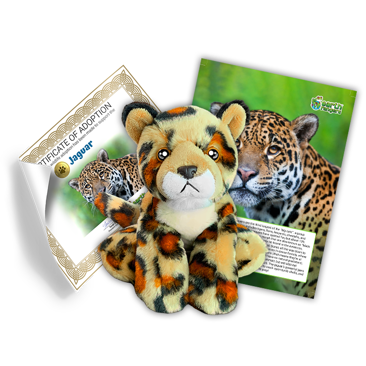 Ensemble d’adoption de jaguar - Peluche