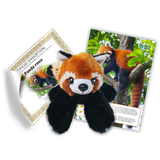 Ensemble d’adoption de panda roux – Peluche