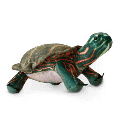 Ensemble d’adoption de la tortue peinte du Centre – Peluche