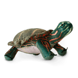 Ensemble d’adoption de la tortue peinte du Centre – Peluche