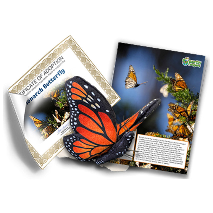 Monarch Butterfly Adoption Kit - Plush Bundle