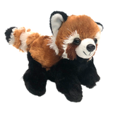Ensemble d’adoption de panda roux – Peluche