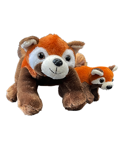 Peluche Panda Roux – Peluche Center