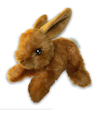 Ensemble d’adoption du lièvre d'Amérique – Peluche