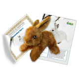 Snowshoe Hare Adoption Kit - Plush Bundle